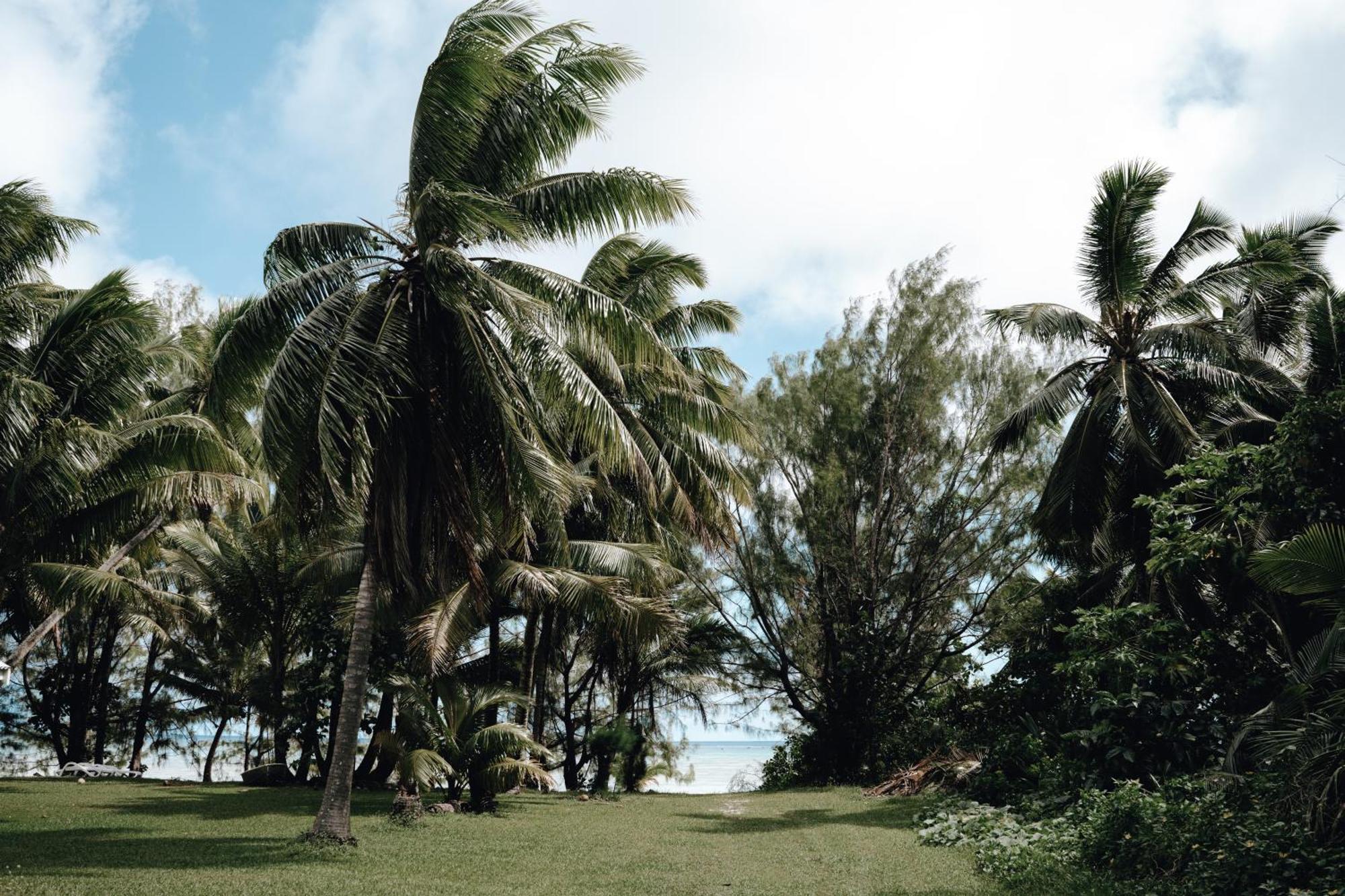 Tai'Inu Bungalows Amuri Dış mekan fotoğraf